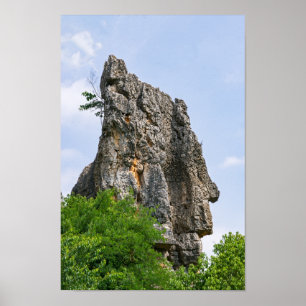 Shilin pinnacles Stone forest - Yunnan, China, Azi Poster