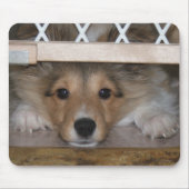 Shiloh Mousepad Muismat (Voorkant)