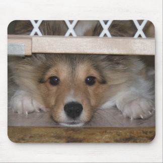 Shiloh Mousepad Muismat