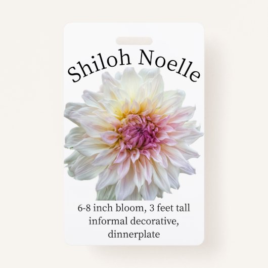Shiloh Noelle Dahlia ID Badge (Voorkant)