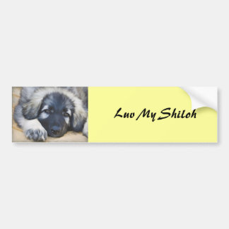 Shiloh Shepherd Bumpersticker