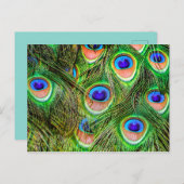 Shimmering Peacock Feathers Briefkaart (Voorkant / Achterkant)