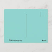 Shimmering Peacock Feathers Briefkaart (Achterkant)