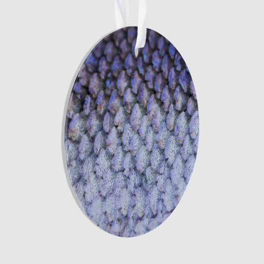 Shimmering Salmon Ornament (voorkant)