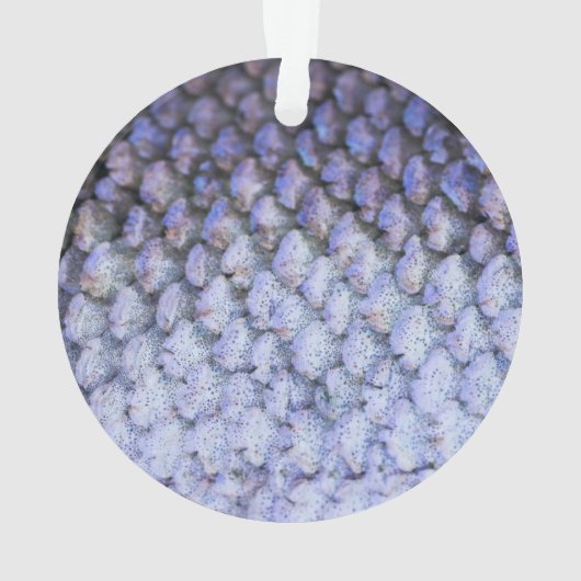 Shimmering Salmon Ornament (achterkant)