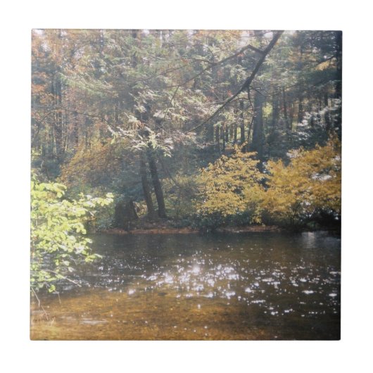 Shimmering Tegeltje (Voorkant)