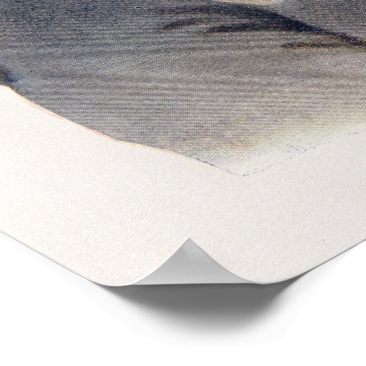 Shin-ga-ba W'Ossin of 'Afbeelding Stone' Poster (Hoek)