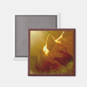 Shine On Me German Shepherd #1 Magneet (Voorkant / Achterkant)