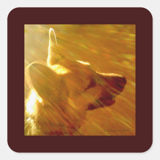 Shine On Me German Shepherd #2 Vierkante Sticker (Voorkant)