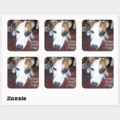 Shiner's Magic Treats Vierkante Sticker (Vel)