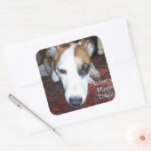 Shiner's Magic Treats Vierkante Sticker (Envelop)