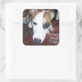 Shiner's Magic Treats Vierkante Sticker (Tas)