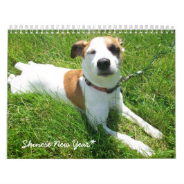 Shinese agenda kalender