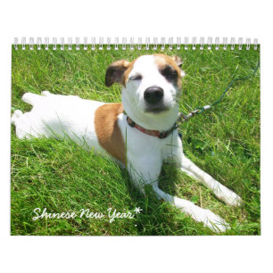Shinese agenda kalender