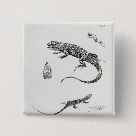 Shingled Iguana Vierkante Button 5,1 Cm (Voorkant)