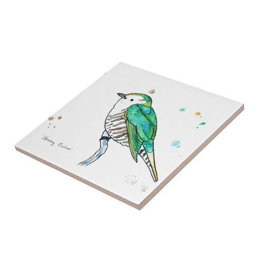 Shining Cuckoo Tegeltje (Zijkant)