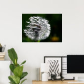 Shining Paardenbloem - Poster (Thuiskantoor)