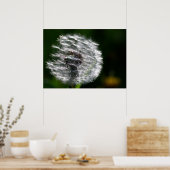 Shining Paardenbloem - Poster (Keuken)