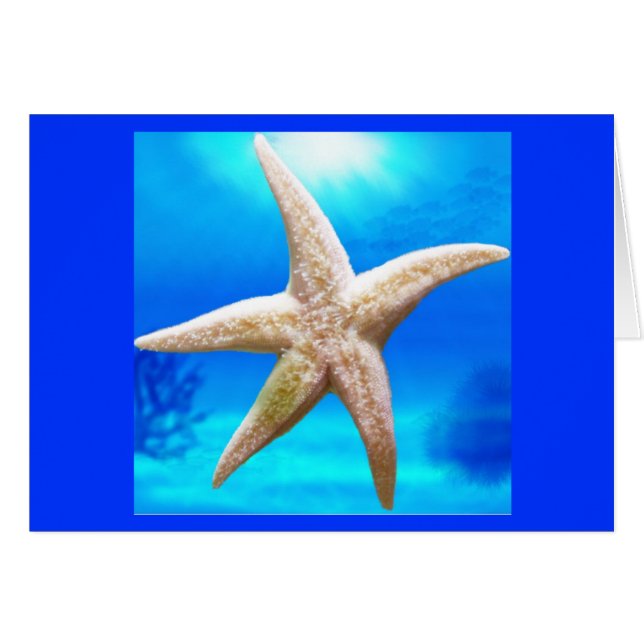 Shining Star (Voorkant Horizontaal)