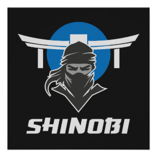 Shinobi Ninja Martial Arts Perfect Poster