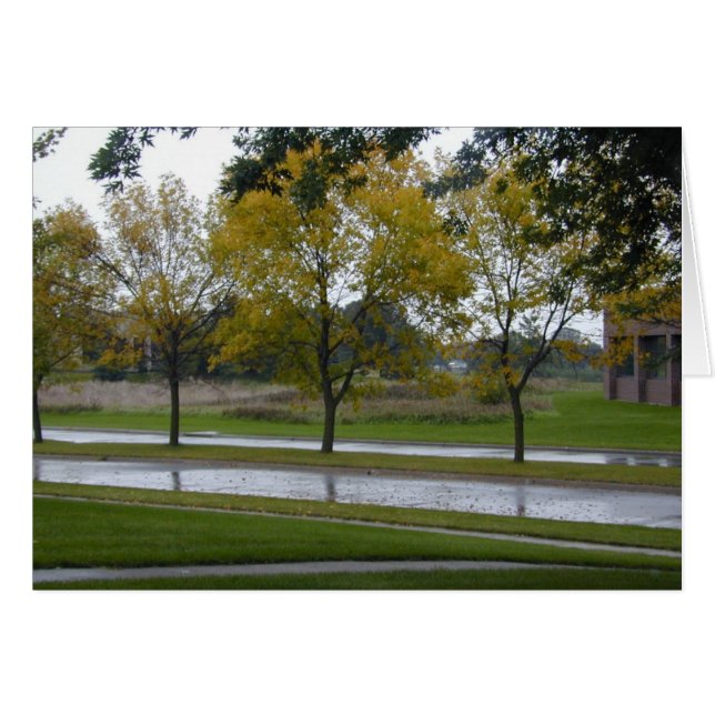 Shiny Boulevard kaart (Voorkant Horizontaal)