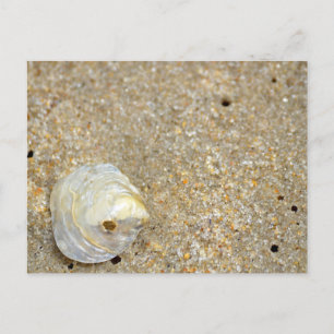 Shiny opal shell op zandstrand close-up briefkaart