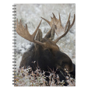 Shiras Bull eland Notitieboek