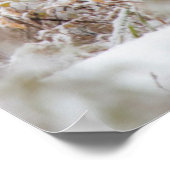 Shiras Bull Moose 2 Poster (Hoek)