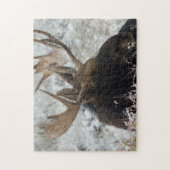 Shiras Bull Moose Legpuzzel (Verticaal)