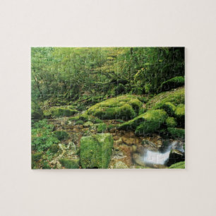 Shiratani Unsuikyo, Yakushima, Kagoshima, Japan Legpuzzel