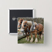 Shire Horses Vierkante Button 5,1 Cm (Voorkant /achterkant)