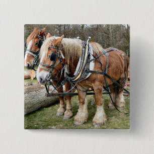 Shire Horses Vierkante Button 5,1 Cm