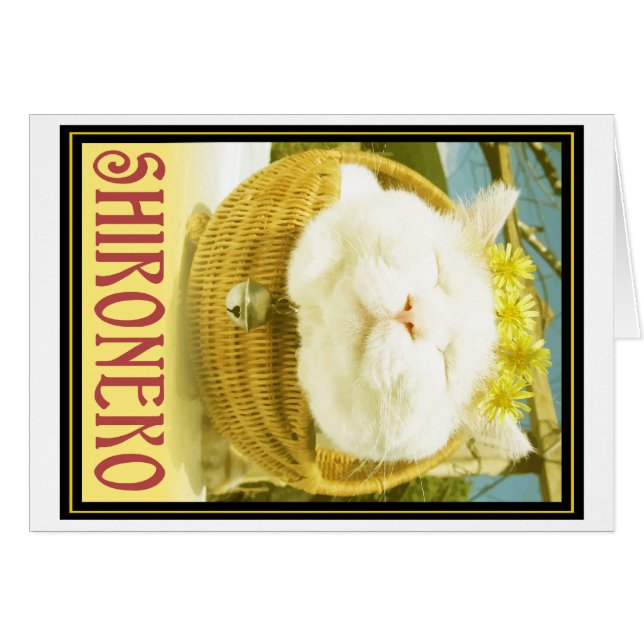 Shironeko of mandje (Voorkant Horizontaal)