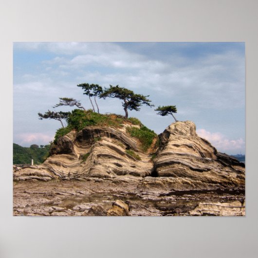 Shiroyama Poster (Voorkant)