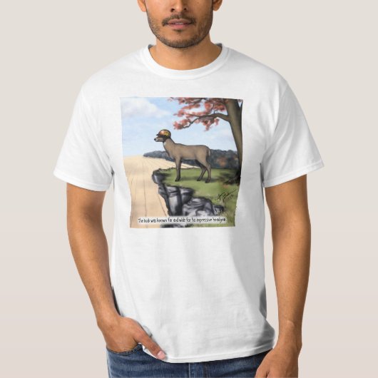 shirt "hoofddeksels" (Voorkant)