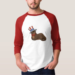 Shirt patriotter