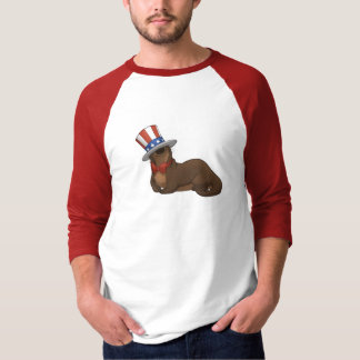 Shirt patriotter