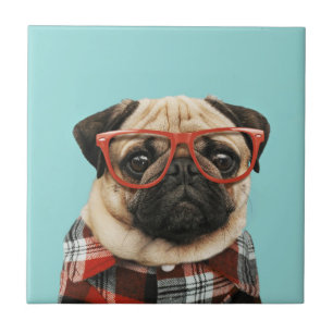 Shirt Pug Tegeltje