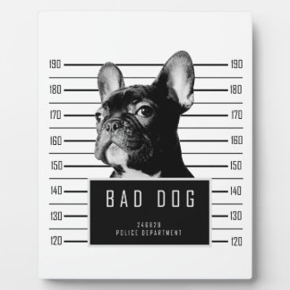 Shirt van Bulldog Mugshot Fotoplaat