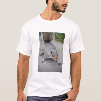 Shirt van eekhoorntjesMannen