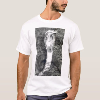 shirt van koningscobra