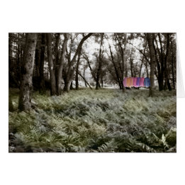 Shirten in een Floodplain Forest Kaart