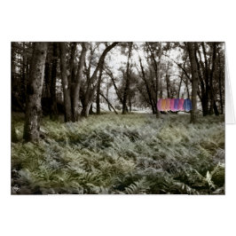 Shirten in een Floodplain Forest Kaart