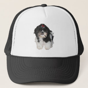 Shitzu Shih Tzu Puppies Honden Trucker Pet