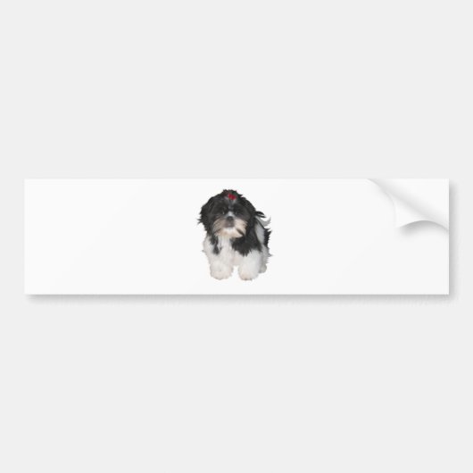 Shitzu Shih Tzu Puppy Dogs Bumpersticker (Voorkant)