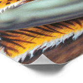 Shiva Shambo Poster (Hoek)