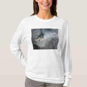 Shiveluch Volcano in Rusland T-shirt