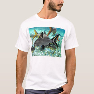 Shoal of fish in springtime, Spain T-shirt