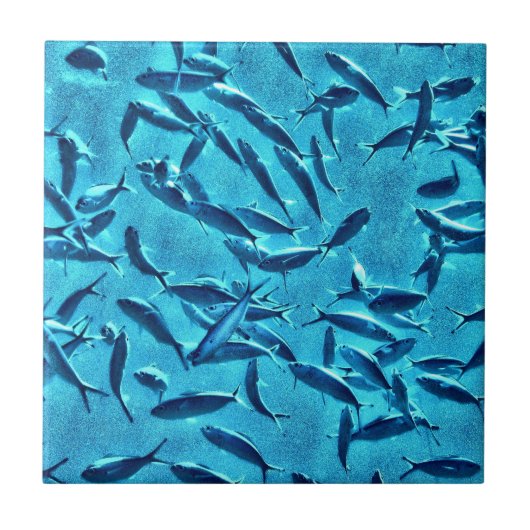 Shoal of Fish Tegeltje (Voorkant)