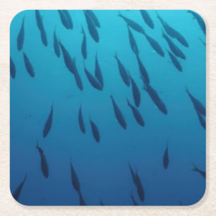 Shoal of fish vierkante kartonnen onderzetter